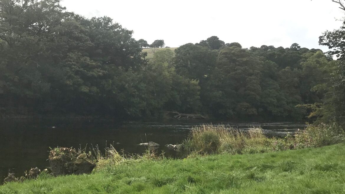 ‘Incredibly selfish behaviour’: Human faeces discovered in UK river