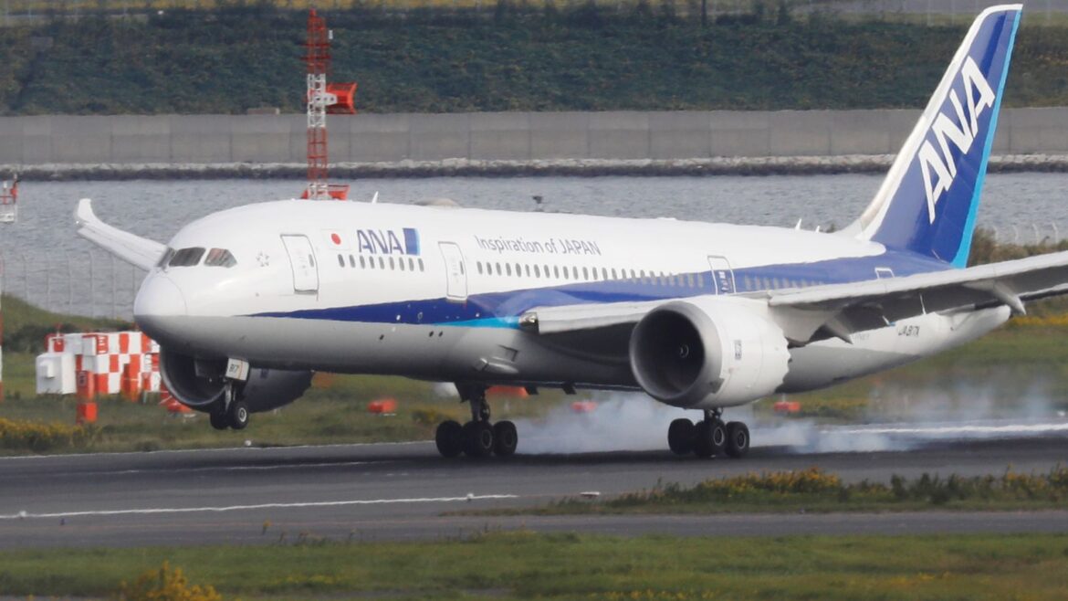 ‘Drunk passenger bites female flight attendant’ as plane returns to airport
